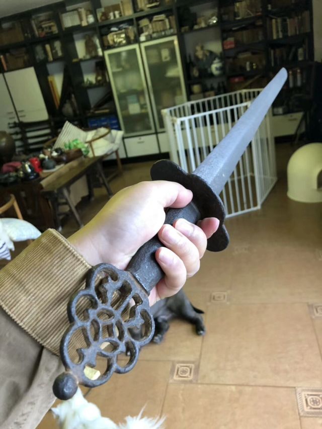 Disc Guard Cutting Jian made by LK Chen